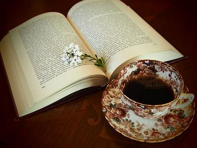 Rencontre Lecture : "Le cas Sneijder " de Jean-Paul Dubois