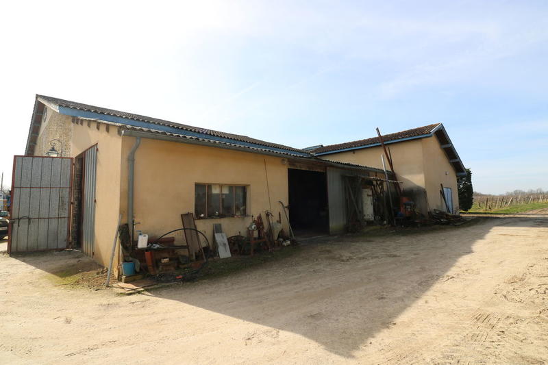 Maison - 1 500 m² - 7 pièces