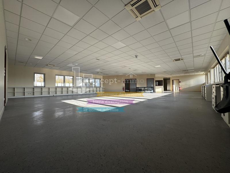 Bureau - 485 m²