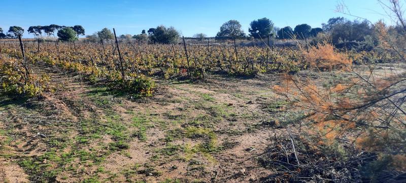 Terrain agricole - 22 800 m²