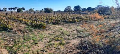 Terrain agricole - 22 800 m²