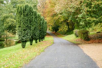 Château - 650 m² - 15 pièces