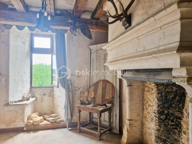 Château - 500 m² - 10 pièces