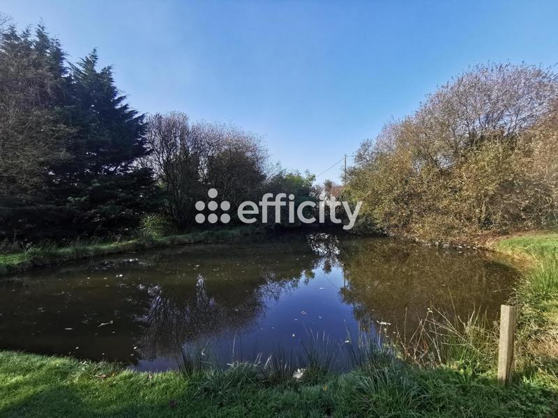 Maison - 170 m² - 7 pièces