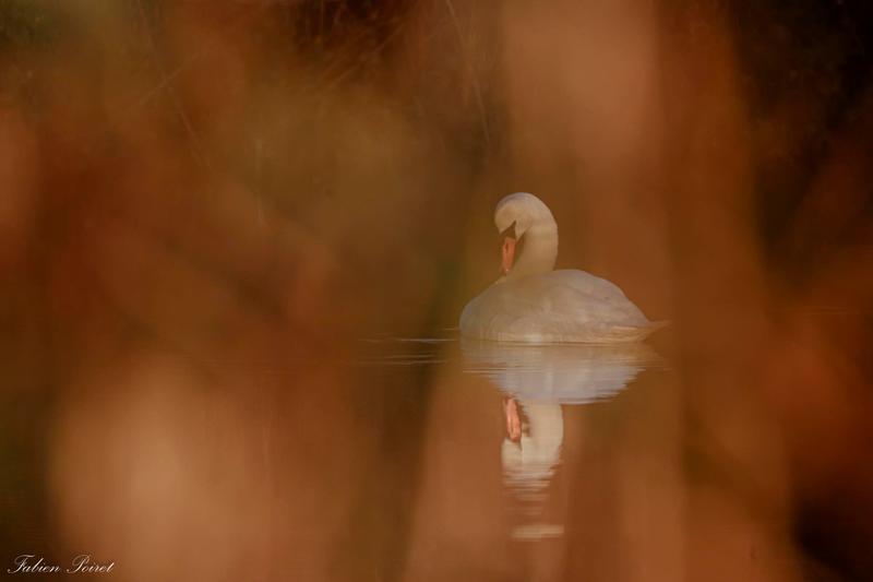 Votre semaine en 7 Vallées