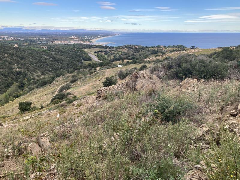 Terrain agricole - 10 846 m²