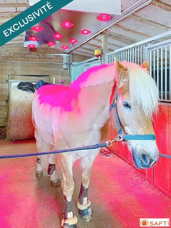 Maison - 116 m² - 5 pièces