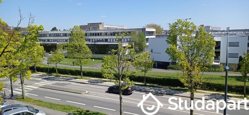 Chambre - 11 m² - 1 pièce