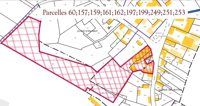 Propriété - 175 m² - 11 pièces