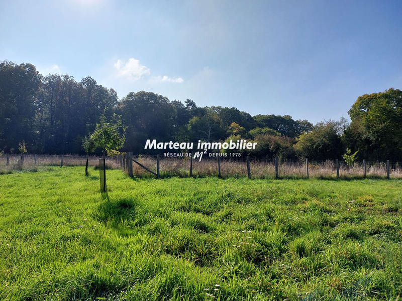 Maison - 250 m² - 8 pièces