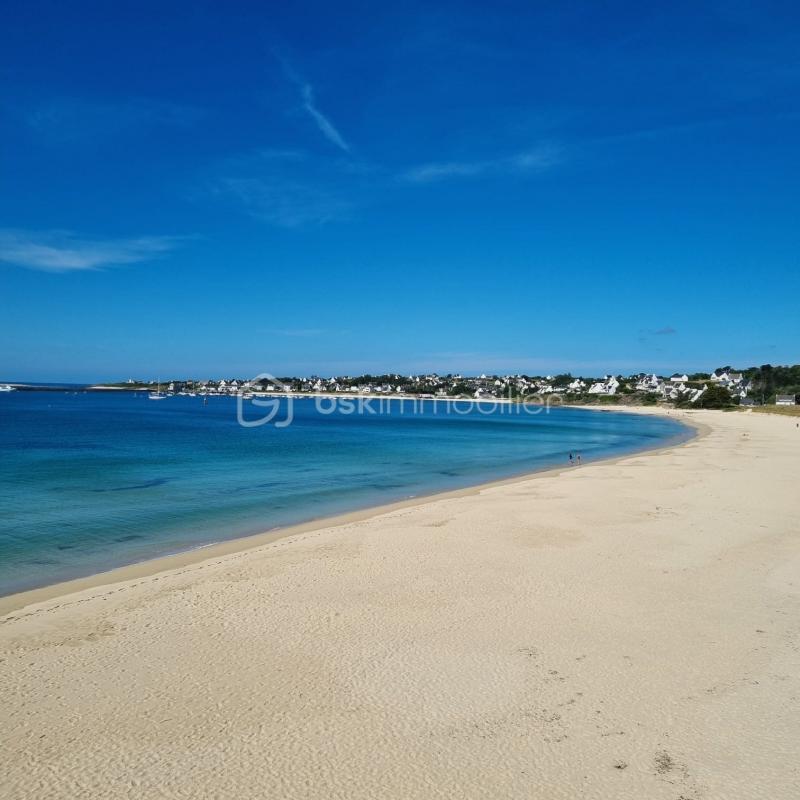 Appartement - 22 m² - 1 pièce