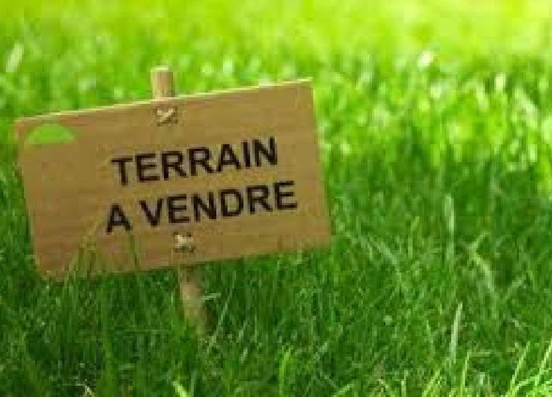 Terrain - 1 000 m²