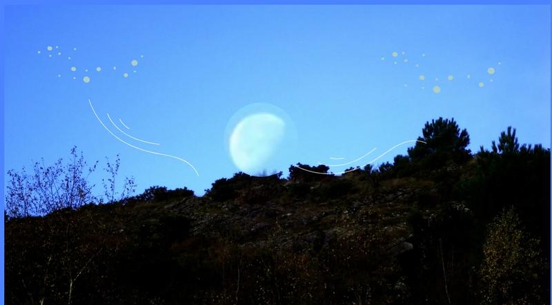 Balade au Crépuscule : Contes, Chantes et Musique en Brocéliande.