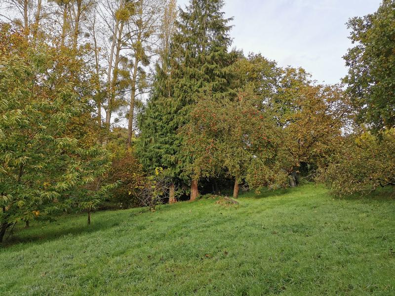 Maison - 119 m² - 5 pièces