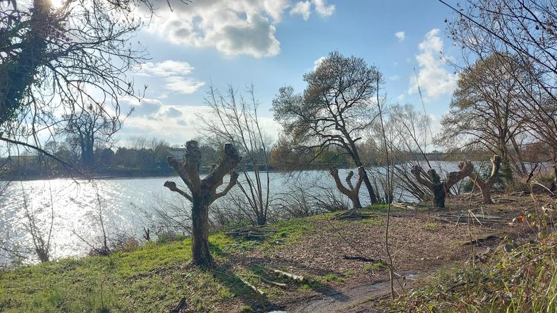 Maison - 201 m² - 6 pièces