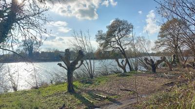 Maison - 201 m² - 6 pièces