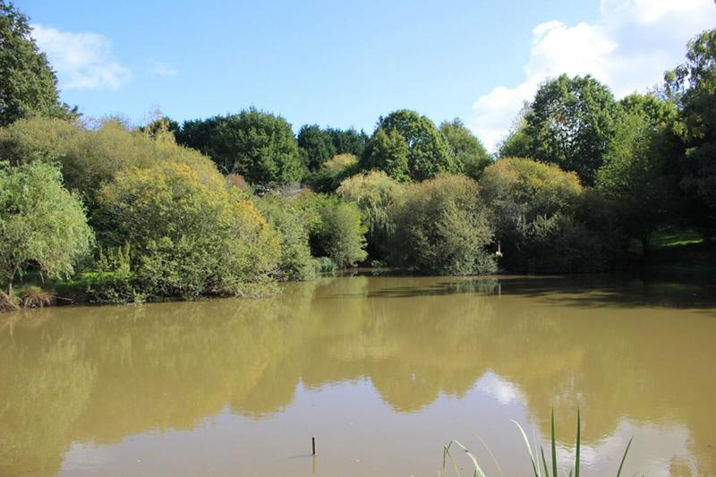 Maison - 200 m² - 10 pièces