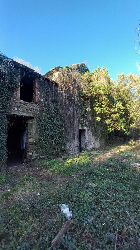 Terrain de loisirs - 31 439 m²