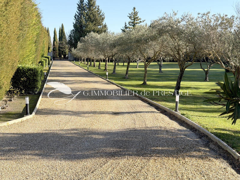 Propriété - 275 m² - 9 pièces