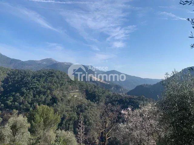 Viager - Maison - 60 m² - 3 pièces