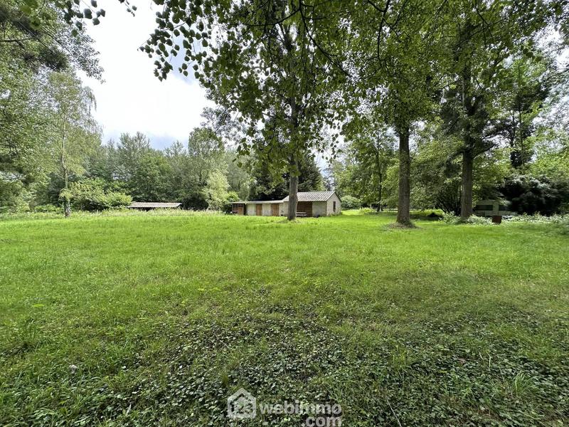 Terrain - 11 300 m²