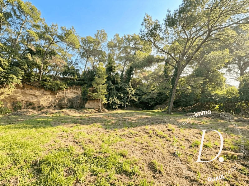 Terrain agricole - 2 000 m²