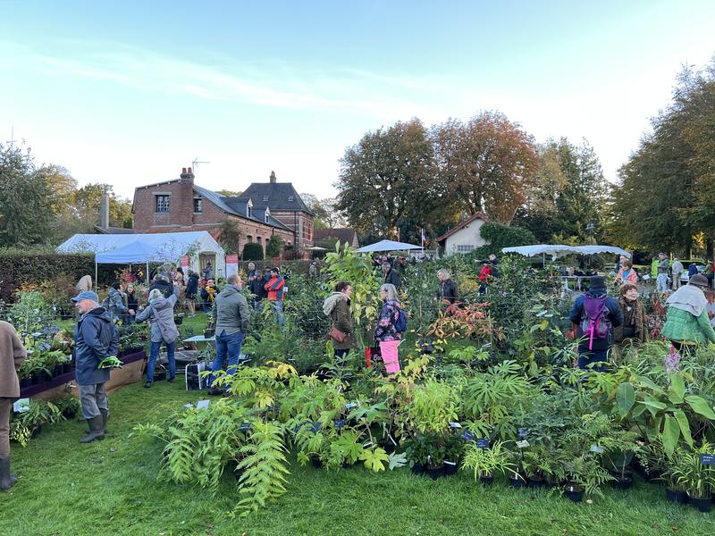 Botaniques de varengeville -