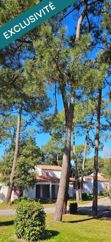 Maison - 28 m² - 2 pièces