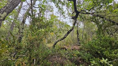 Terrain agricole - 11 136 m²