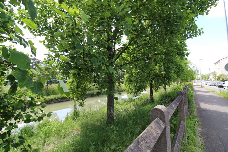 Appartement - 68 m² - 4 pièces