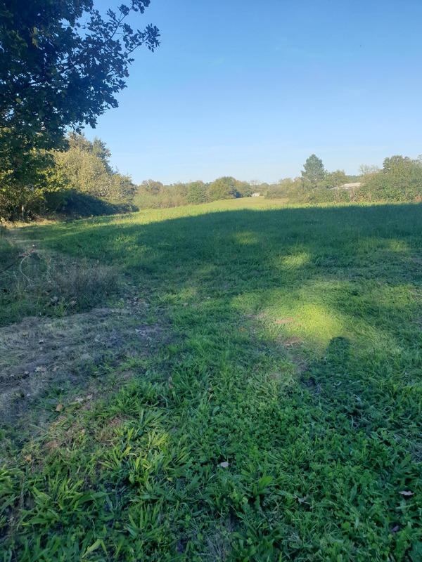 Maison - 37 m² - 2 pièces