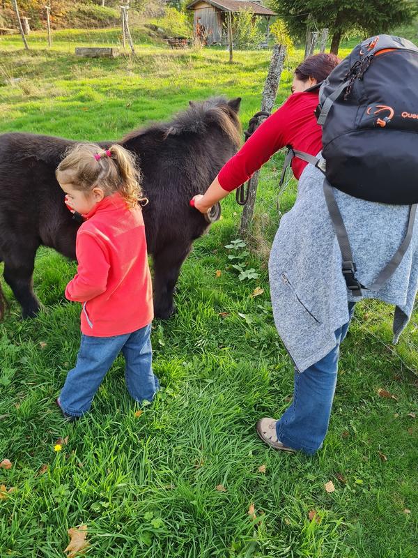 Balade avec un poney