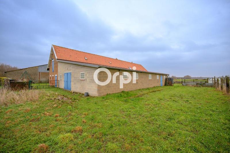 Ferme - 130 m² - 5 pièces