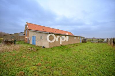 Ferme - 130 m² - 5 pièces