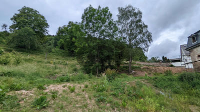 Terrain - 550 m²