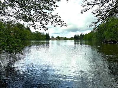 Propriété - 467 m² - 9 pièces