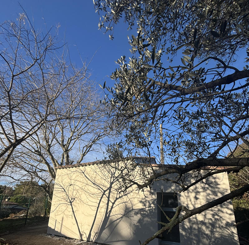 Maison - 40 m² - 1 pièce