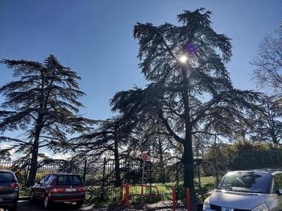 Appartement - 84 m² - 4 pièces