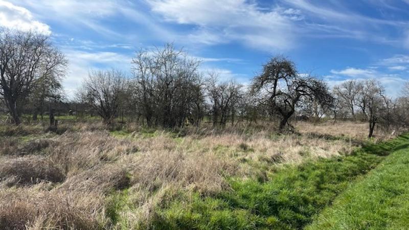 Terrain constructible - 871 m²