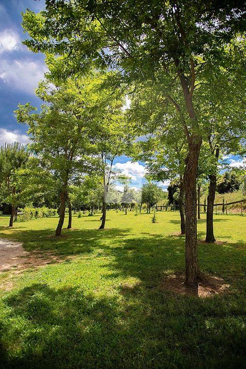 Mas - 571 m² - 24 pièces