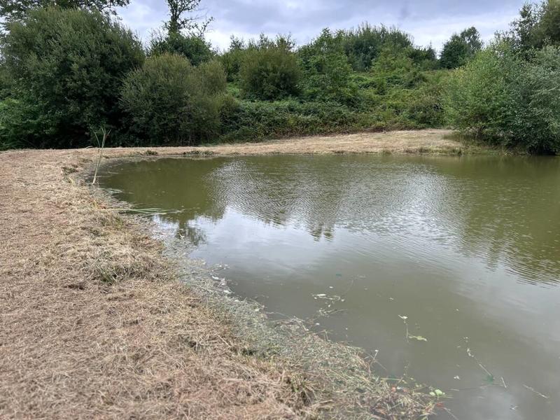 Terrain de loisirs - 9 376 m²