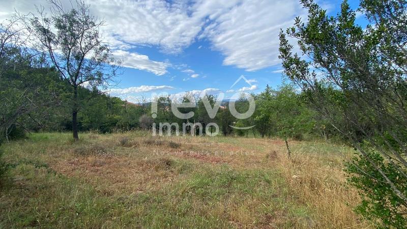 Propriété viticole - 251 m² - 11 pièces