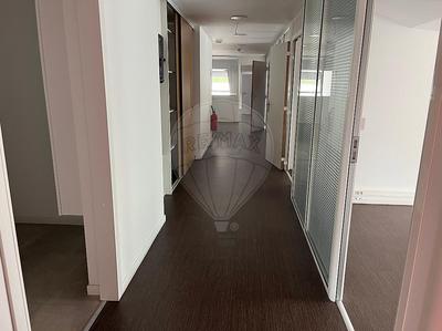 Bureau - 600 m² - 11 pièces