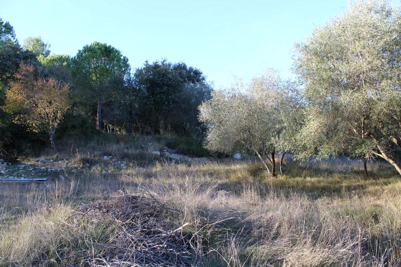 Terrain - 2 500 m²