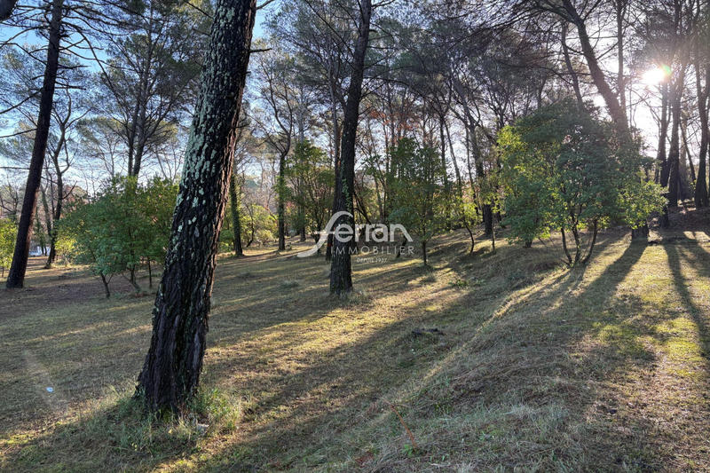 Terrain - 7 100 m²