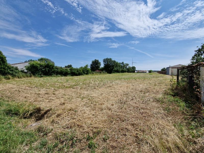 Terrain constructible - 1 254 m²