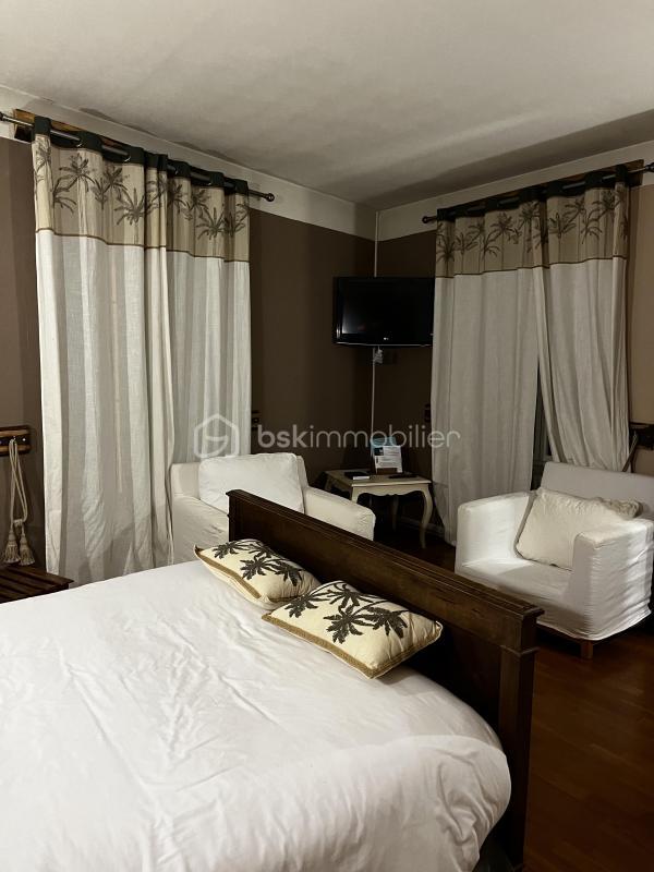 Hôtel particulier - 394 m² - 10 pièces