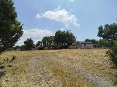 Terrain - 783 m²