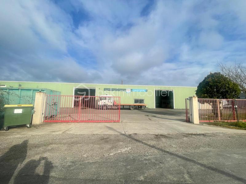 Local d'activité / Entrepôt - 2 300 m² - 1 pièce