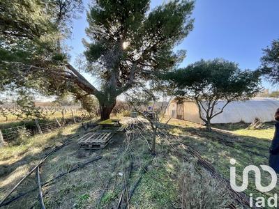 Terrain agricole - 7 264 m²